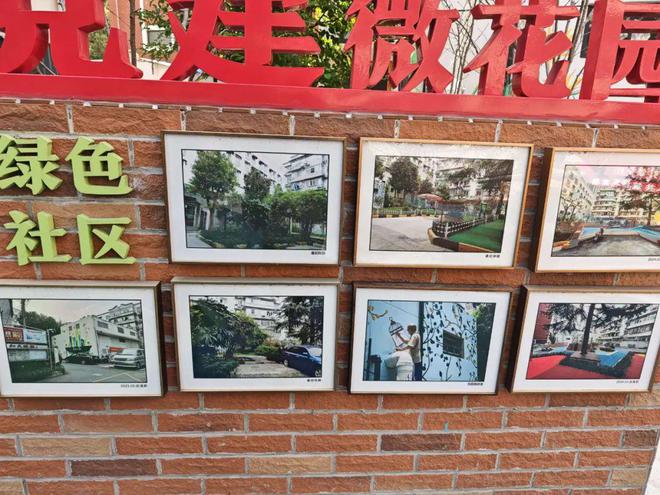 已经进化成这样了怎么上海小区改造(图10)