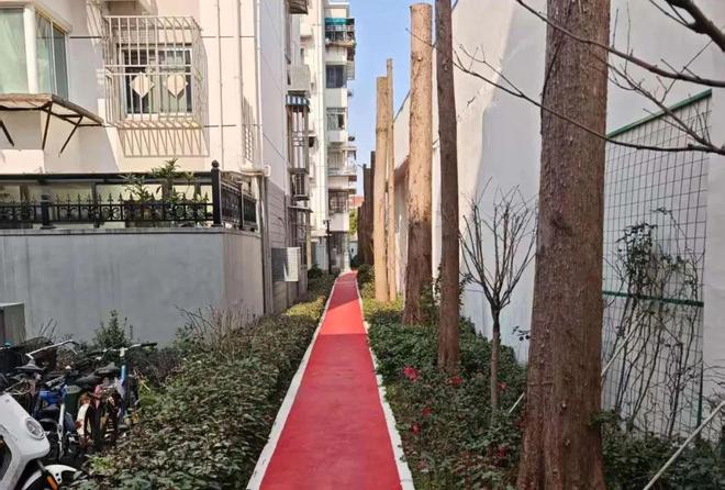 已经进化成这样了怎么上海小区改造(图26)