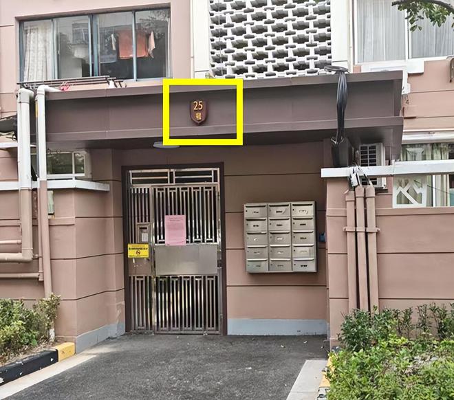 已经进化成这样了怎么上海小区改造(图39)