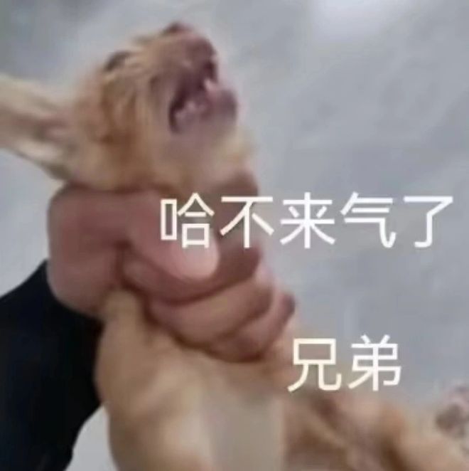 罪人监狱都被民间礼物塞满了…给日本人提供不打码影片的大(图3)