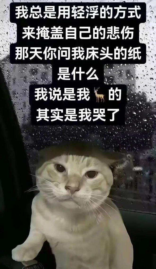 罪人监狱都被民间礼物塞满了…给日本人提供不打码影片的大(图4)